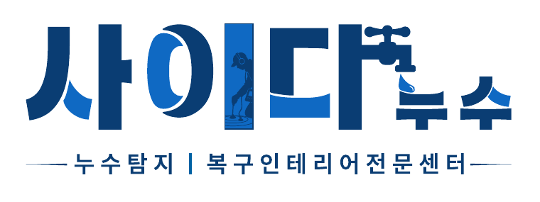 사이다누수